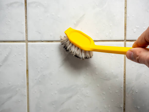 Water Damage Restoration in Van, TX