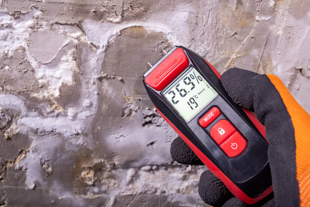 Professional Mold Removal in Van, TX
