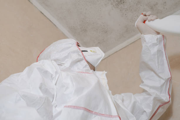 Best Mold Testing  in Van, TX